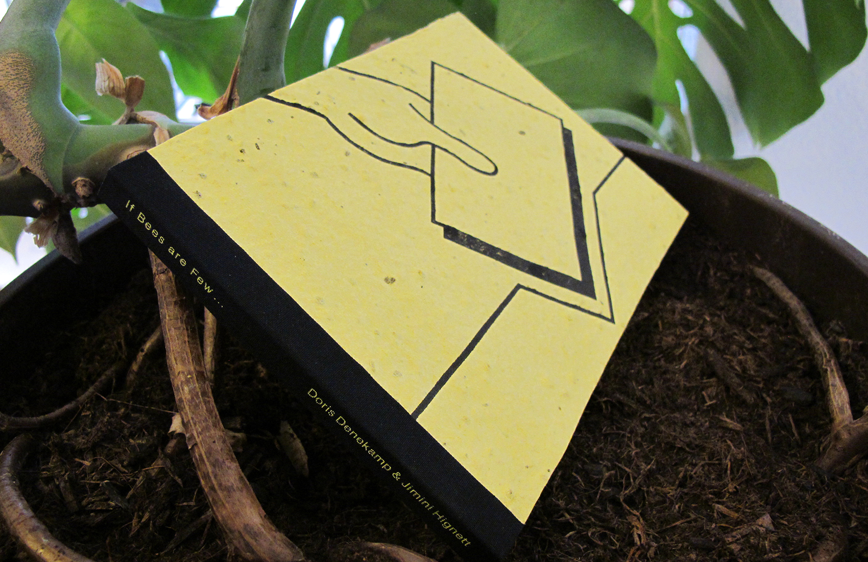Studio Anna Haas, Visual Communication
