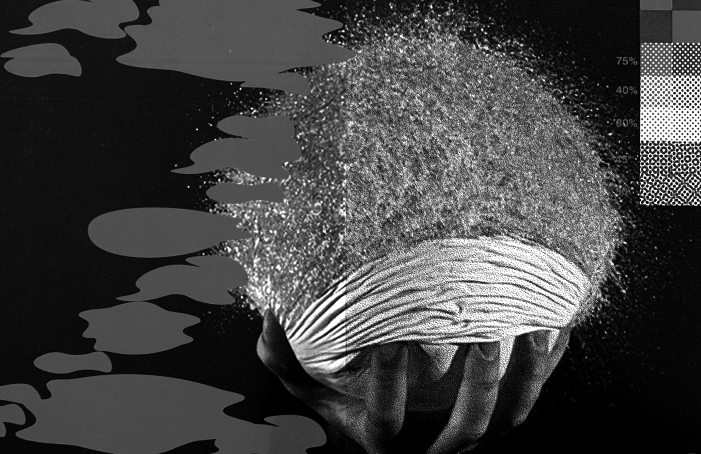 Studio Anna Haas, Visual Communication