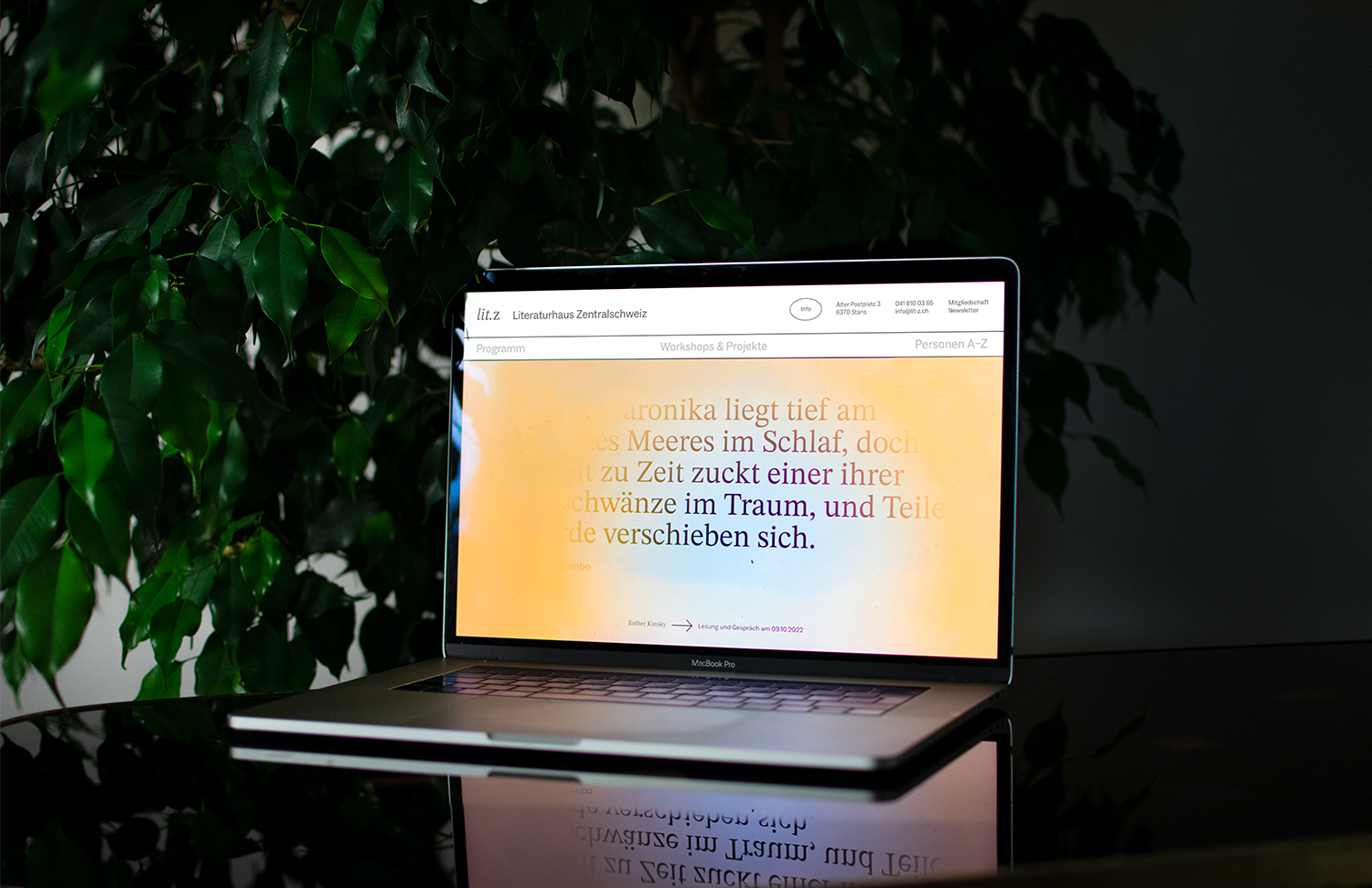 Studio Anna Haas, Visual Communication