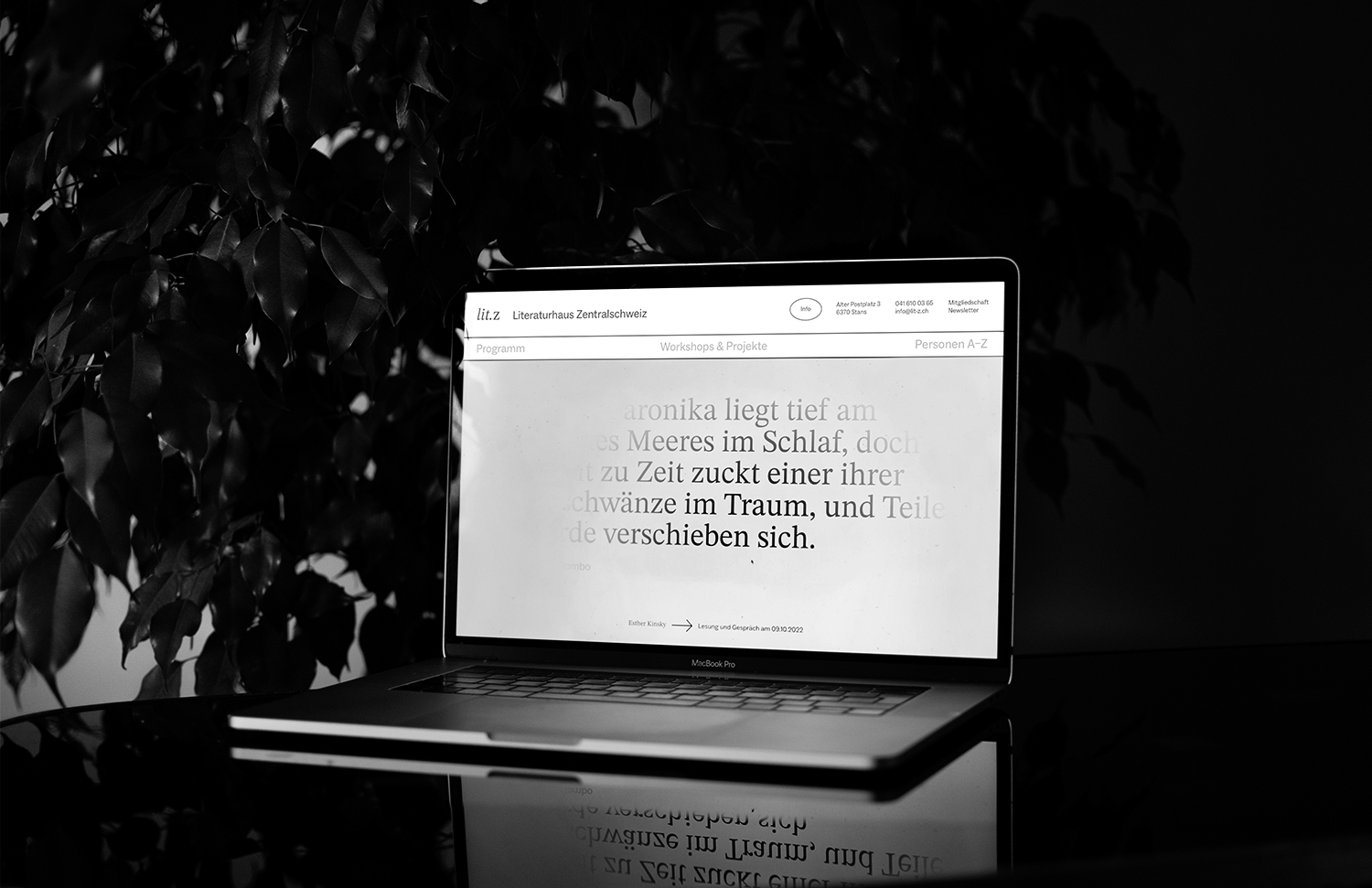 Studio Anna Haas, Visual Communication